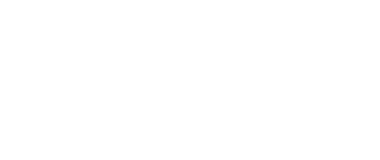 FLYNN HOME